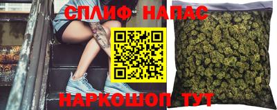 дживик Обнинск